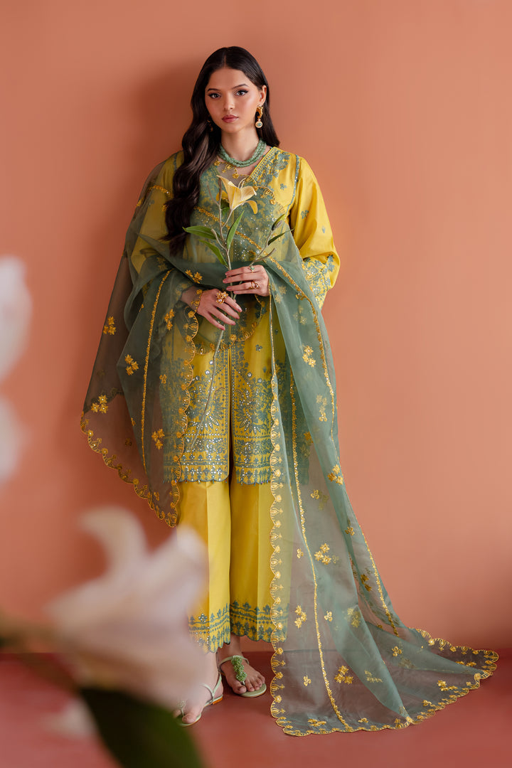 Batik | Aylin Festive Solids | Zane -  Batik Ladies Clothes - Original Designer Dress - House of Maryam