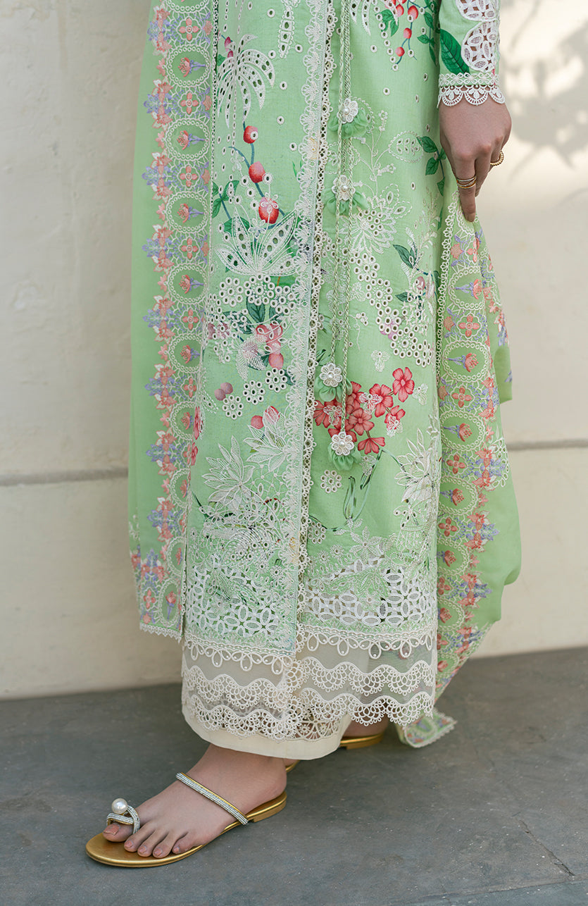 Soraya | Noa Summer Pret 25' | Willow