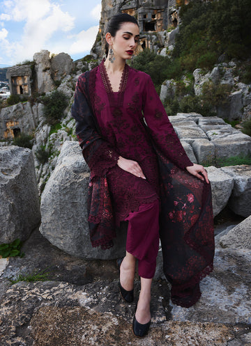 Image | Lawnkari 25 | Delara -  Image Ladies Clothes -  House of Maryam