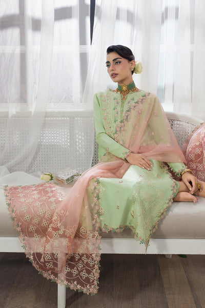 Rangrasiya | Lumeire Silk |Alma