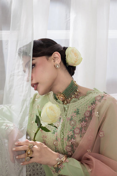 Rangrasiya | Lumeire Silk |Alma