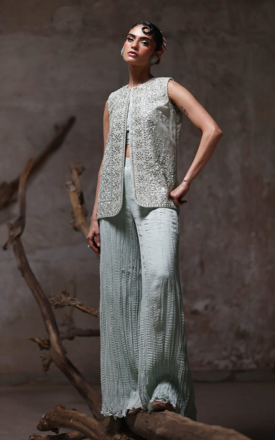 Threads and Motifs | Formal Dresses 25 | Organza Embroidered Jacket With Crushed Trouser -  Threads and Motifs Ladies Clothes - Original Designer Dress - House of Maryam