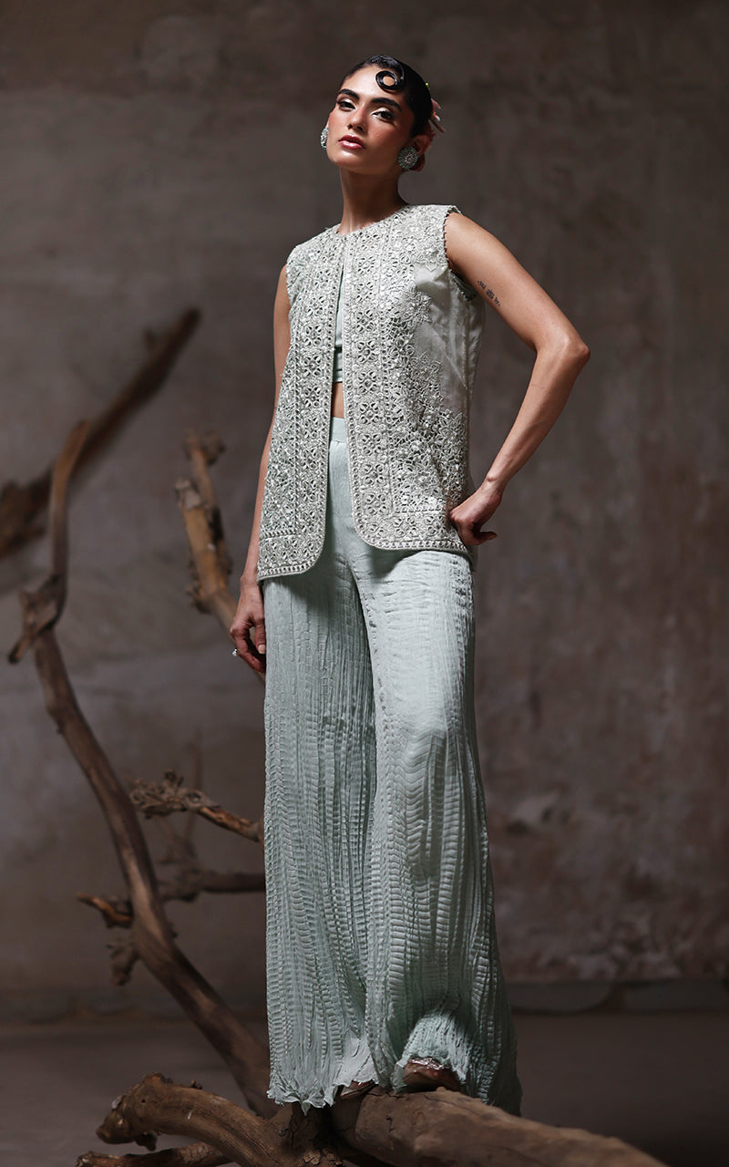 Threads and Motifs | Formal Dresses 25 | Organza Embroidered Jacket With Crushed Trouser -  Threads and Motifs Ladies Clothes - Original Designer Dress - House of Maryam
