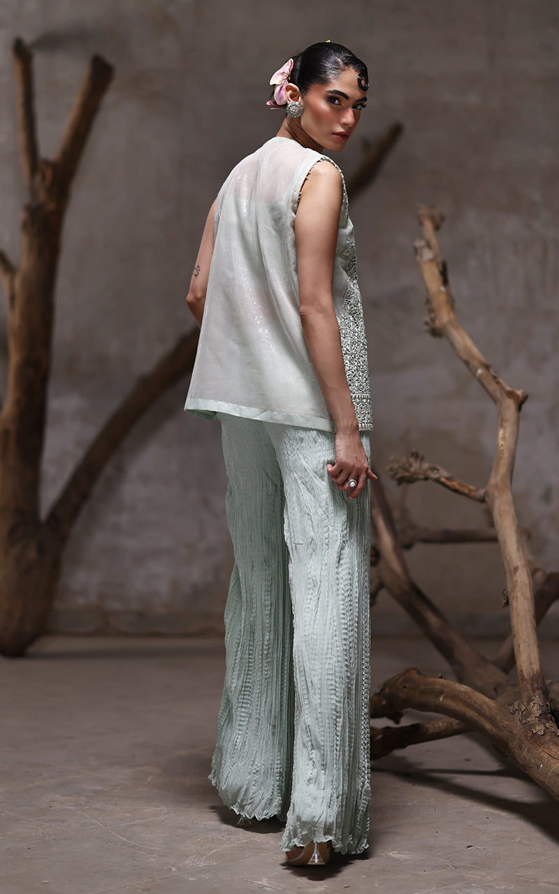 Threads and Motifs | Formal Dresses 25 | Organza Embroidered Jacket With Crushed Trouser -  Threads and Motifs Ladies Clothes - Original Designer Dress - House of Maryam