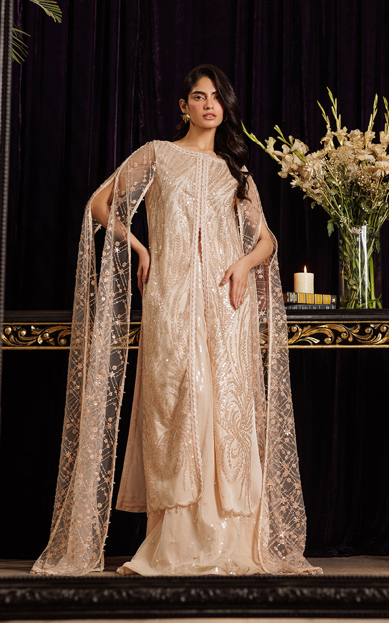 Threads and Motifs | Formal Dresses 25 | Net Embroidered Dress With Skirt -  Threads and Motifs Ladies Clothes - Original Designer Dress - House of Maryam
