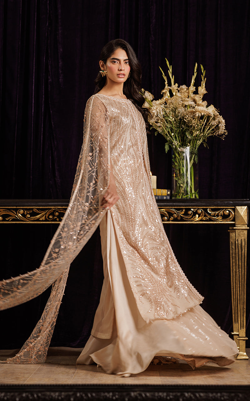 Threads and Motifs | Formal Dresses 25 | Net Embroidered Dress With Skirt -  Threads and Motifs Ladies Clothes - Original Designer Dress - House of Maryam