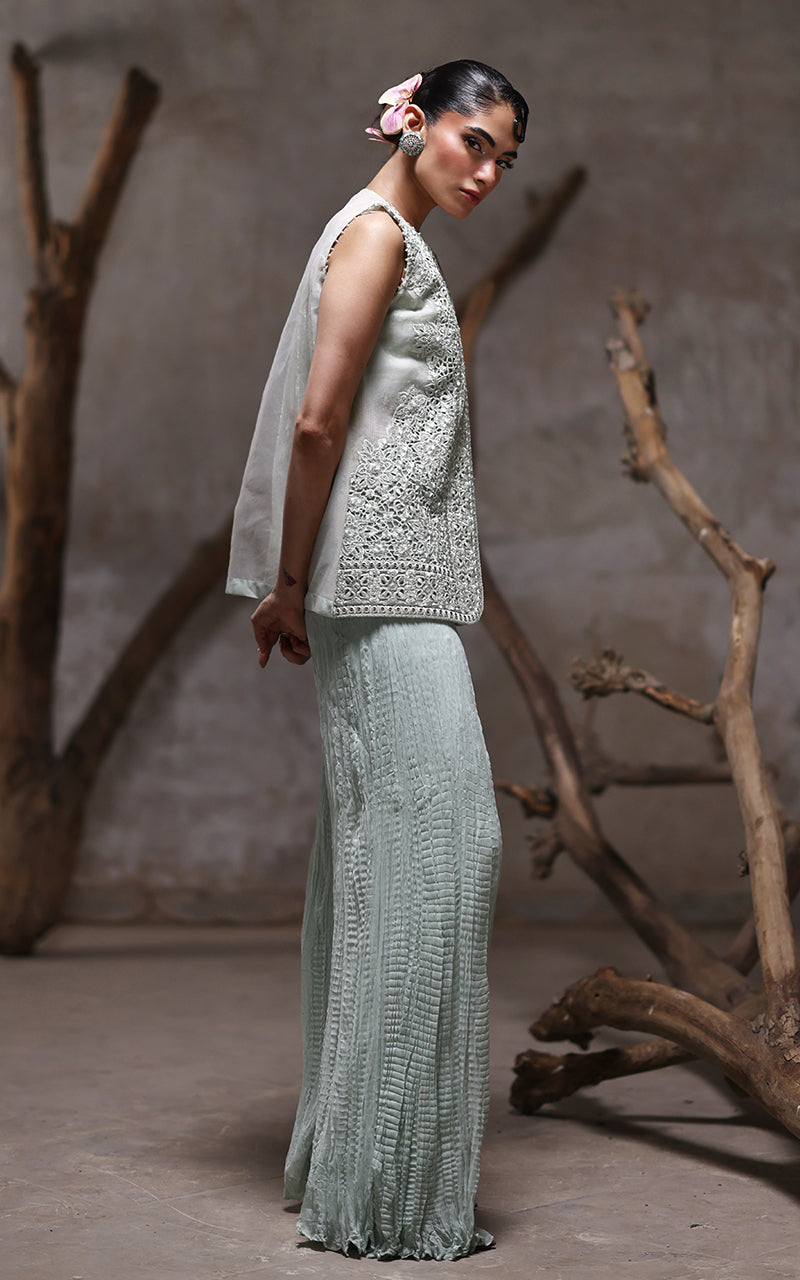 Threads and Motifs | Formal Dresses 25 | Organza Embroidered Jacket With Crushed Trouser -  Threads and Motifs Ladies Clothes - Original Designer Dress - House of Maryam