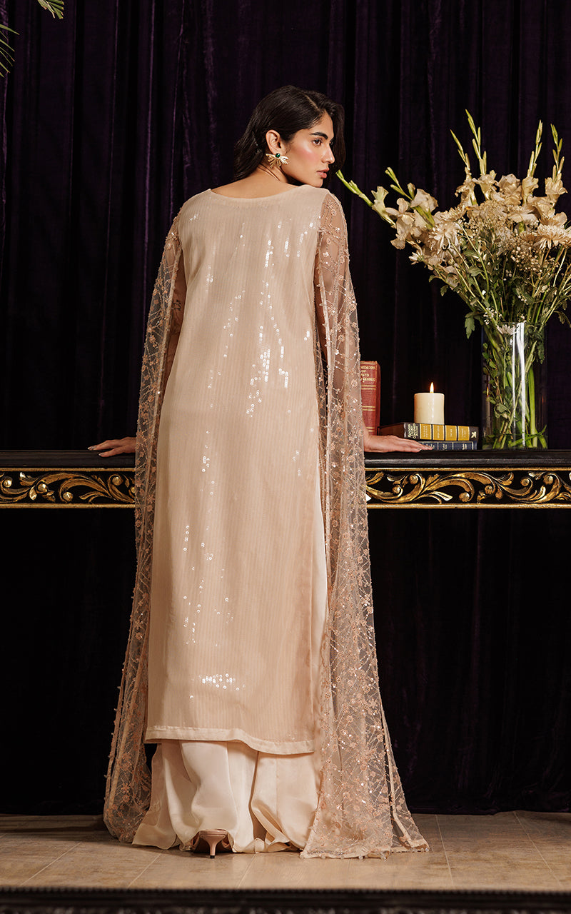 Threads and Motifs | Formal Dresses 25 | Net Embroidered Dress With Skirt -  Threads and Motifs Ladies Clothes - Original Designer Dress - House of Maryam