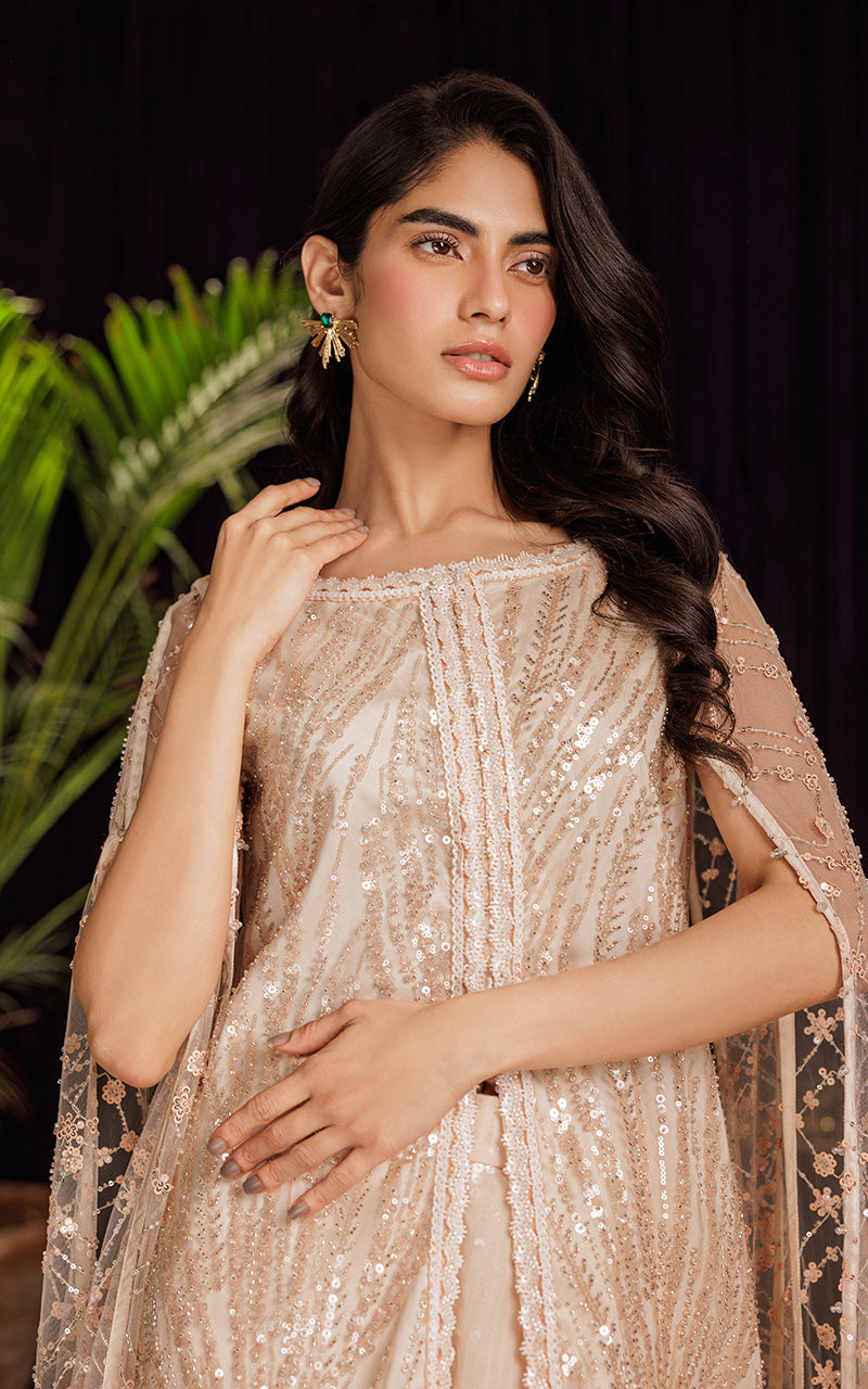 Threads and Motifs | Formal Dresses 25 | Net Embroidered Dress With Skirt -  Threads and Motifs Ladies Clothes - Original Designer Dress - House of Maryam