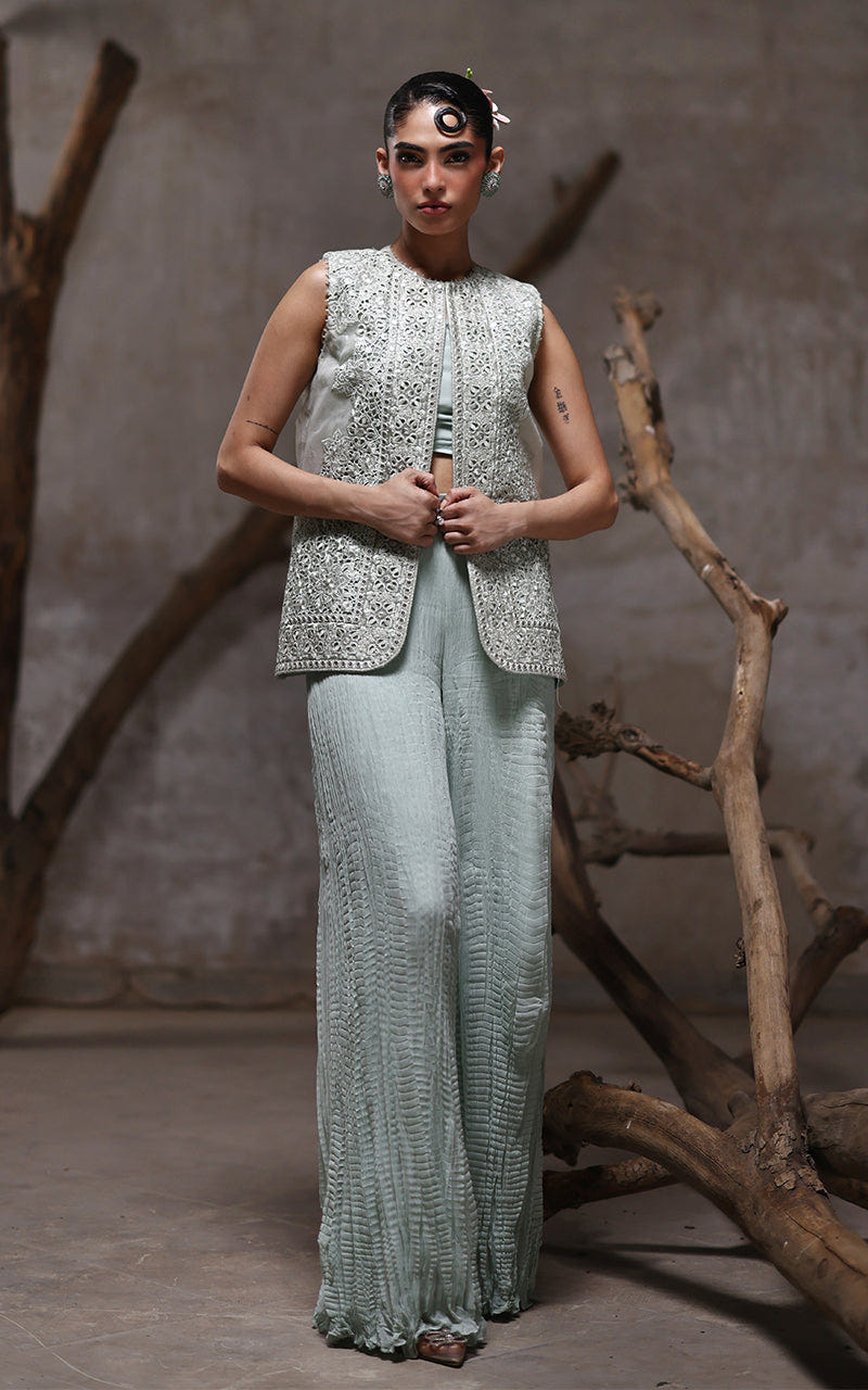 Threads and Motifs | Formal Dresses 25 | Organza Embroidered Jacket With Crushed Trouser -  Threads and Motifs Ladies Clothes - Original Designer Dress - House of Maryam