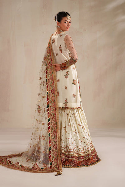 Baroque | Formals | Embroidered Net UF-4368