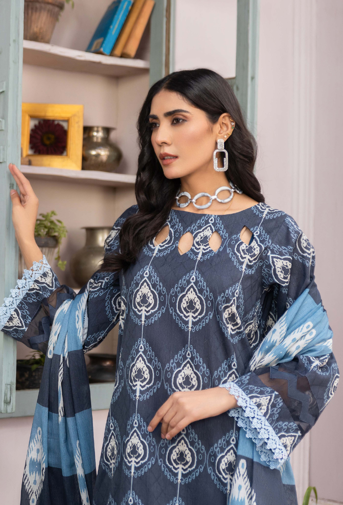 Humdum | Rang e Noor SS 24 | D01 by Designer HumDum - House of Maryam - Pakistani Designer Ethnic Wear in {{ shop.shopifyCountryName }}