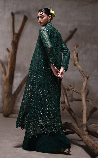 Threads and Motifs | Formal Dresses 25 | Organza Jacket With Crushed Trouser -  Threads and Motifs Ladies Clothes - Original Designer Dress - House of Maryam
