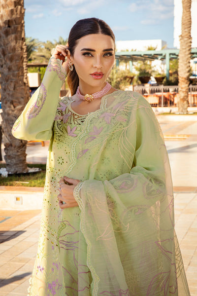 Rangrasiya | Premium Summer Lawn 25 | Ayleen -  Rangrasiya Ladies Clothes - Original Designer Dress - House of Maryam