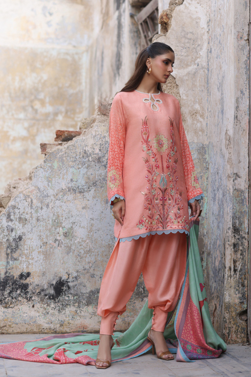 Wardha Saleem | Zimal Luxury Eid Edit 26 | Amal'E 2-1