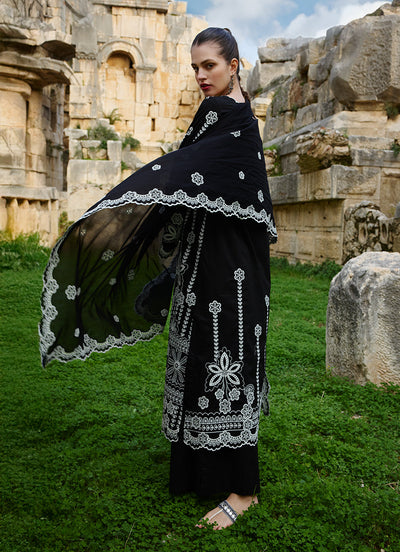Image | Lawnkari 25 | Jana -  Image Ladies Clothes - Original Designer Dress - House of Maryam