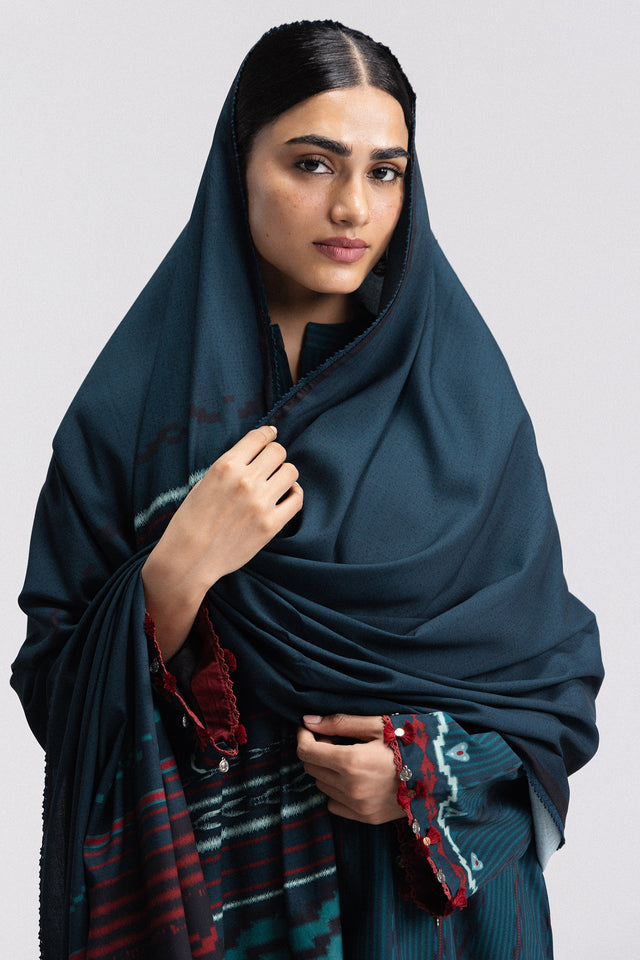 Zara ShahJahan | Coco Prints Winter 26 | Leela-10B, image 4