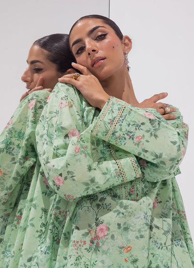 Image | Spring Basics 25 | IMPRSS-213915-11893 -  Image Ladies Clothes - Original Designer Dress - House of Maryam