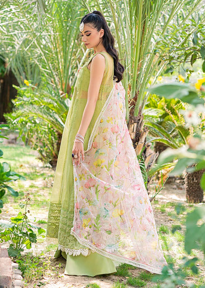 Saira Shakira | Luxury Pret | Wild Rye -  Saira Shakira Ladies Clothes - Original Designer Dress - House of Maryam