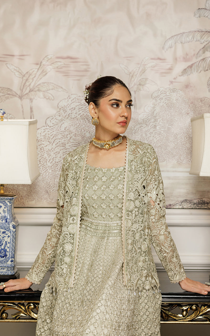 Threads and Motifs | Formal Dresses 25 | Organza Embroidered Maxi With Jacket -  Threads and Motifs Ladies Clothes - Original Designer Dress - House of Maryam