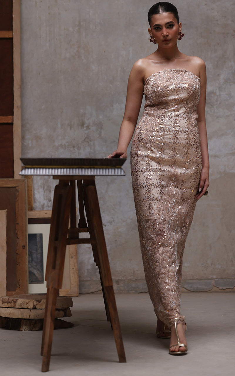 Threads and Motifs | Formal Dresses 25 | Net Embroidered Dress-3