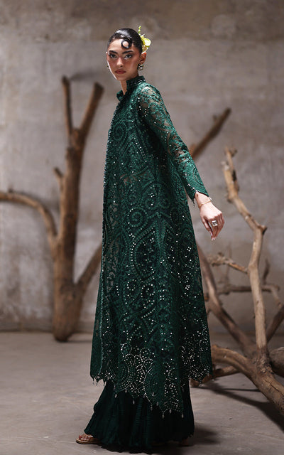 Threads and Motifs | Formal Dresses 25 | Organza Jacket With Crushed Trouser -  Threads and Motifs Ladies Clothes - Original Designer Dress - House of Maryam