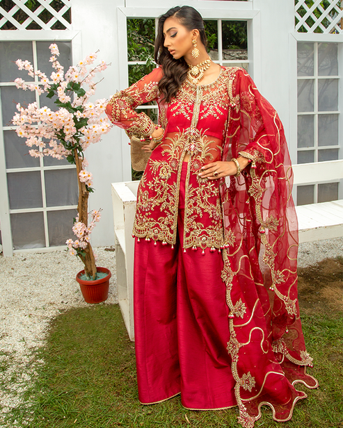 Nyra | Wedding Formals 24 | Scarlet by Designer Nyra - House of Maryam - Pakistani Designer Ethnic Wear in {{ shop.shopifyCountryName }}