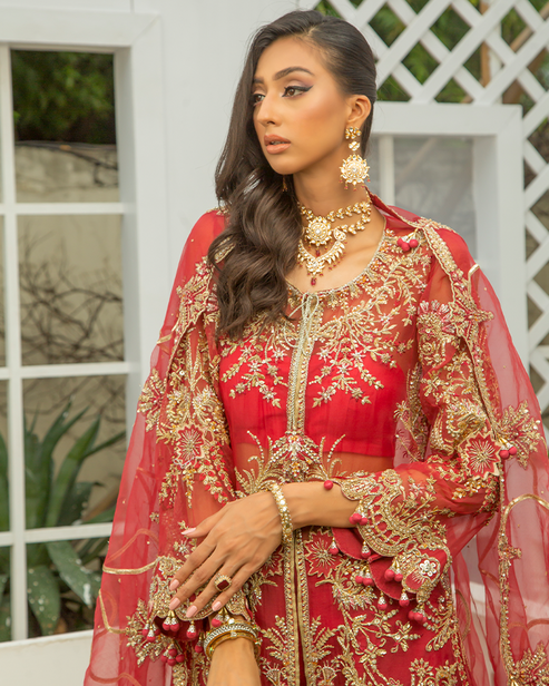 Nyra | Wedding Formals 24 | Scarlet by Designer Nyra - House of Maryam - Pakistani Designer Ethnic Wear in {{ shop.shopifyCountryName }}