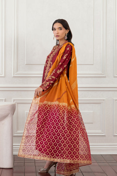 Mina Hasan | Eid ul Adha 26 | Zaiba, image 6