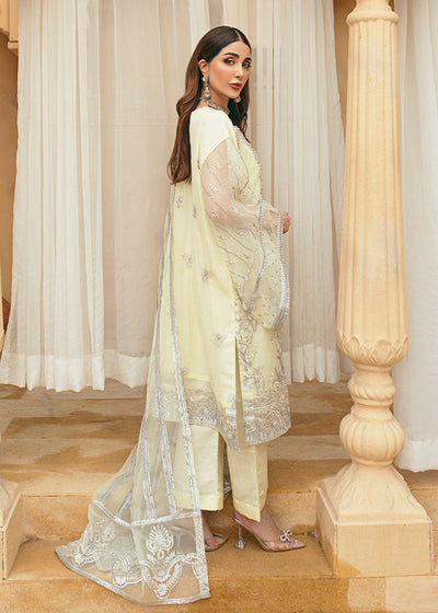 Daud Abbas | Formals Collection | Nu-Bahar -  Daud Abbas Formal - Original Designer Dress - House of Maryam