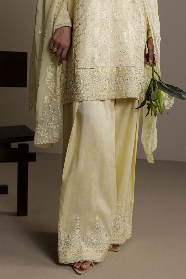 Zara Shahjahan | Festive 26 | ZARDIYA, image 4