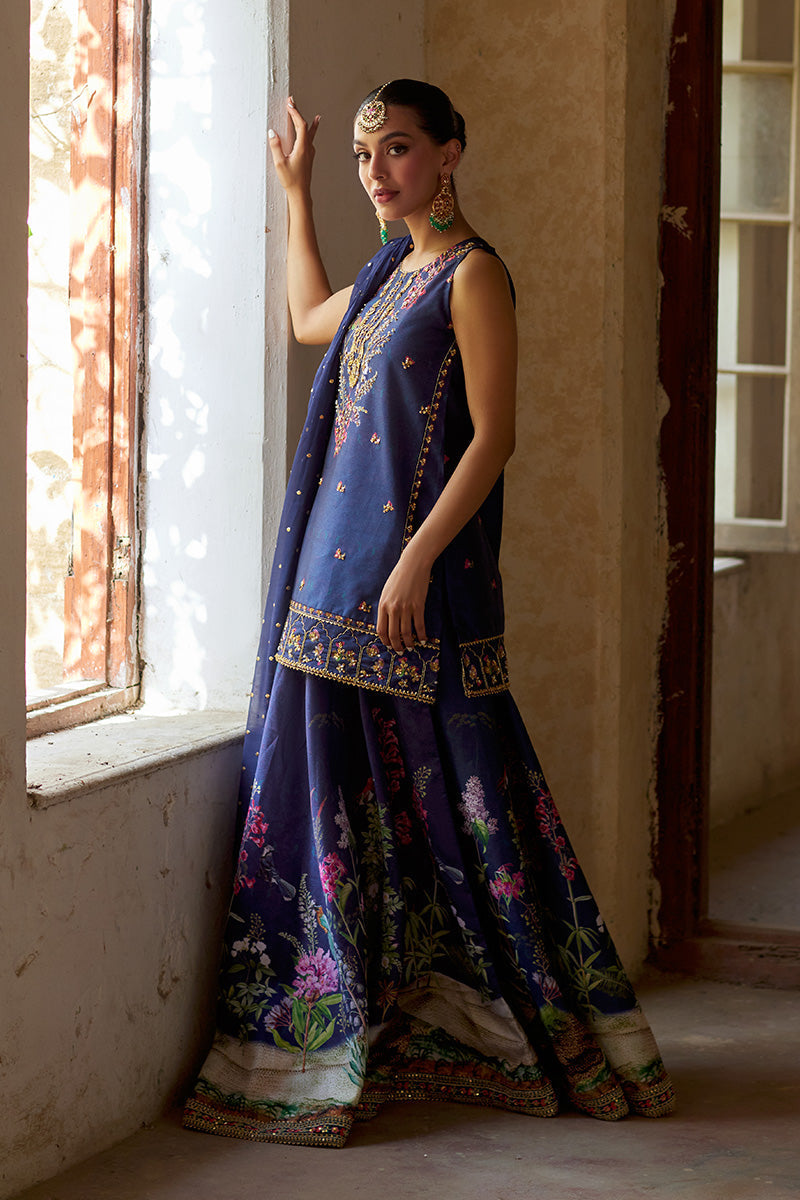 Mina Hassan | Formal Dholki Collection | Hannah -  Mina Hassan Ladies Clothes - Original Designer Dress - House of Maryam