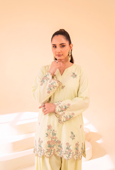 Faiza Faisal | FNF Cords Edit | CITRON DEW