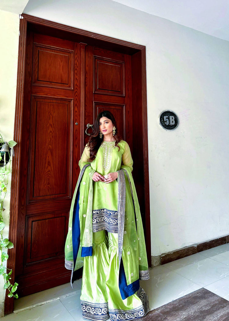 Daud Abbas | Formals Collection | Nayab -  Daud Abbas Formal - Original Designer Dress - House of Maryam
