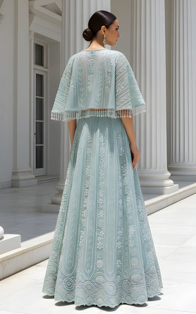 Threads and Motifs | Formal Dresses 25 | Net Embroidered Blouse With Cape And Lehenga