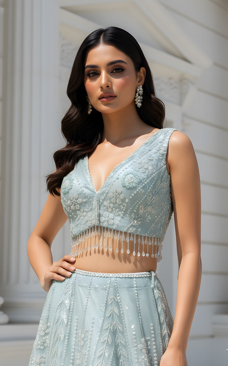 Threads and Motifs | Formal Dresses 25 | Net Embroidered Blouse With Cape And Lehenga, image 3