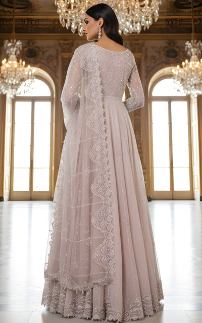 Threads and Motifs | Formal Dresses 25 | Net Embroidered Maxi