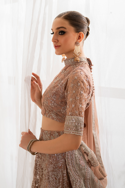 Iznik | Chinnon Chiffon | CC-43 Embroidered Net -  Iznik Formal - Original Designer Dress - House of Maryam