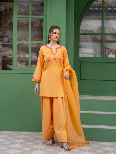 Hania & Umaimaz | Festive Collection | Anaya -  Hania & Umaima  - Original Designer Dress - House of Maryam