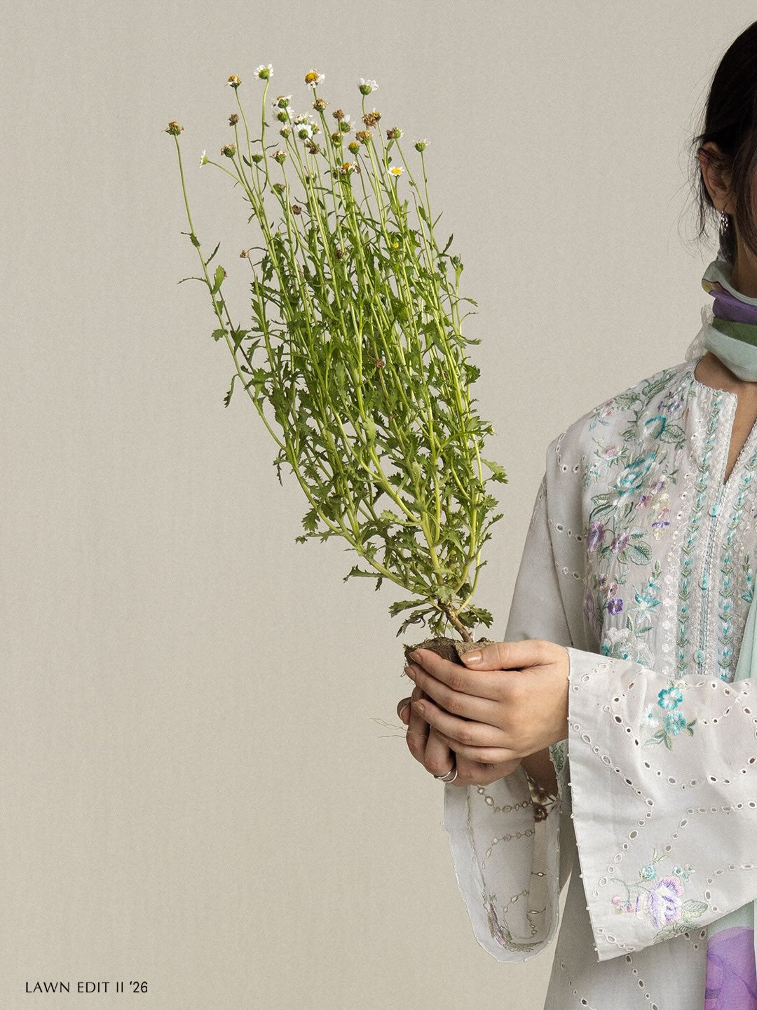 Zara Shahjahan | Coco Lawn 26 | Lune-2A, image 5