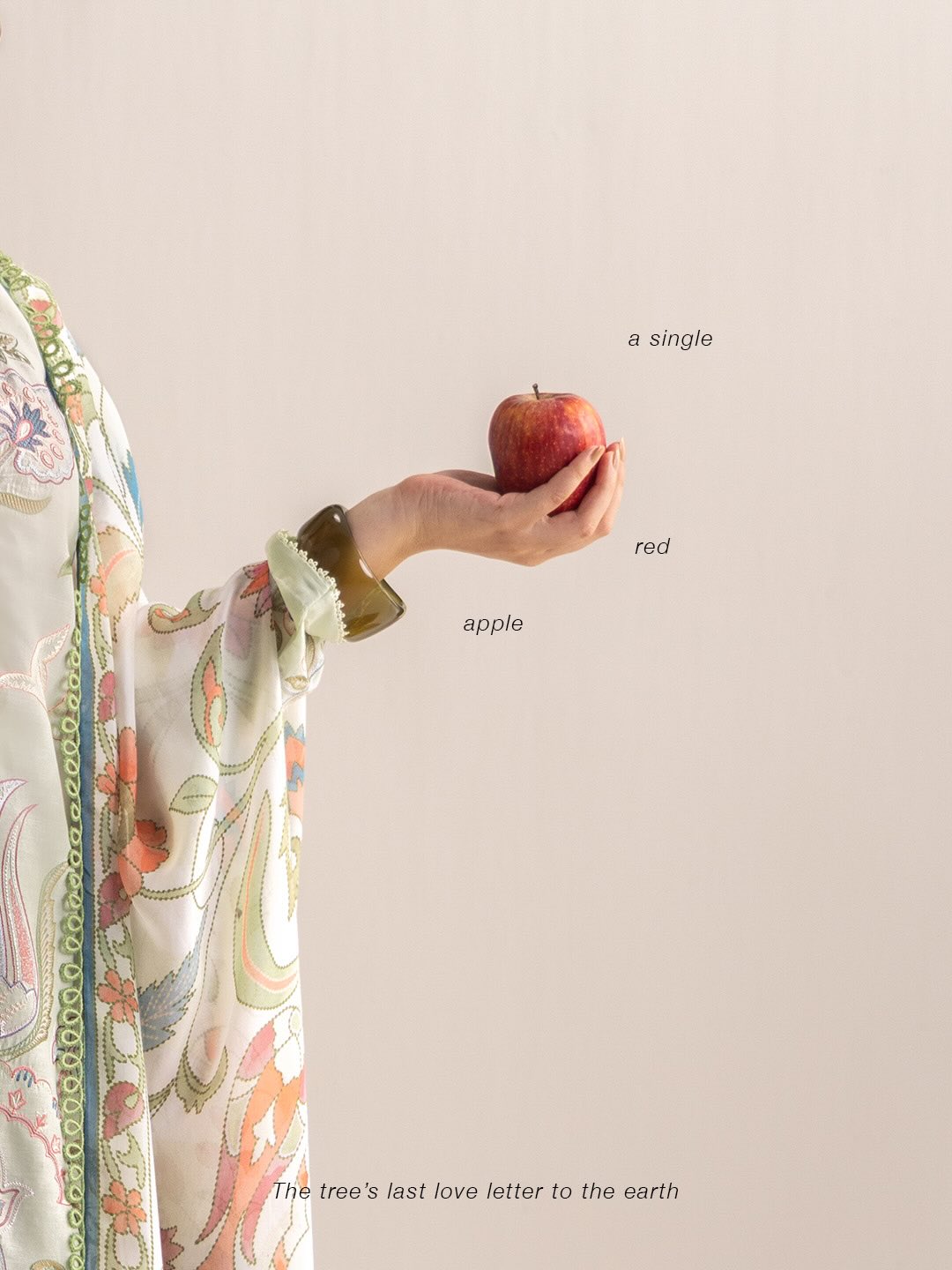 Zara Shahjahan | Coco Lawn 26 | Sia-4B, image 5