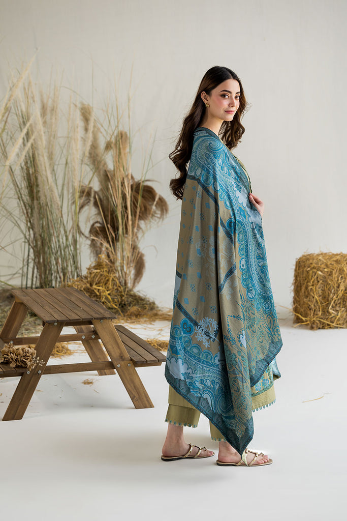 Sobia Nazir | Winter 25 | WE25-V1-6B, image 2