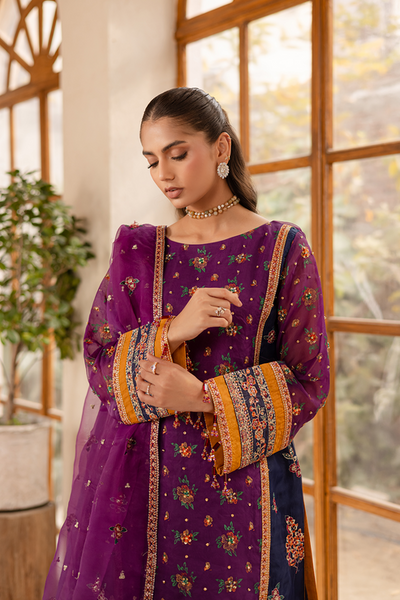 Emaan Adeel | Noore Festive Formals | NAYERA -  Emaan Adeel Ladies Clothes - Original Designer Dress - House of Maryam