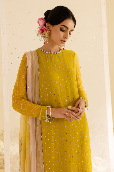 Nureh | Mukeshkari Formals | MK-08 -  Nureh Ladies Clothes - Original Designer Dress - House of Maryam