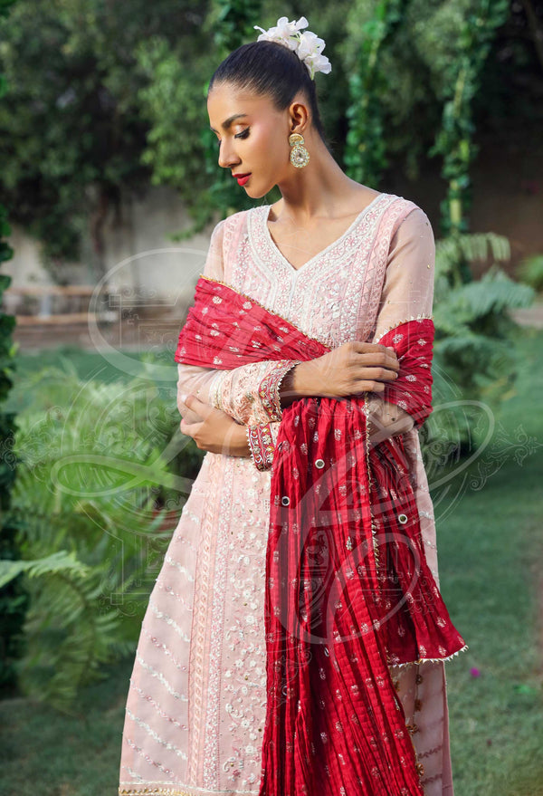 Layla Chatoor | Luxury Pret | Zenia-3