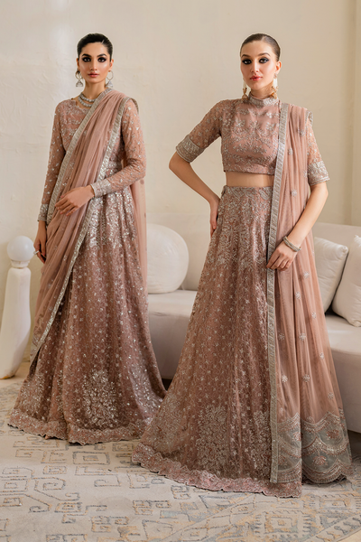 Iznik | Chinnon Chiffon | CC-43 Embroidered Net -  Iznik Formal - Original Designer Dress - House of Maryam