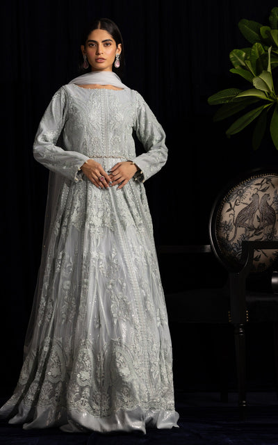 Threads and Motifs | Formal Dresses 25 | Net Embroidered Maxi -  Threads and Motifs Ladies Clothes - Original Designer Dress - House of Maryam