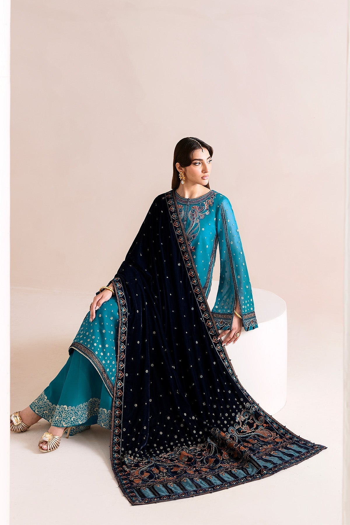 Alizeh | Makhmal Luxury Velvet Edit | Nelofer, image 8
