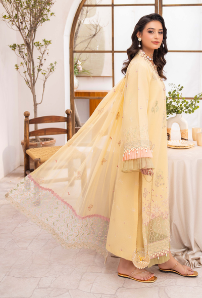 Humdum | Nayab 26 | NAYAB - D02