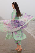 Nureh | Gardenia Embroidered Lawn 25 | NSG-174 -  Nureh Ladies Clothes -  House of Maryam